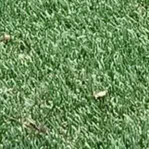 Meet your Posher, Nicholas